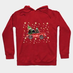Bloodhound Basset Hound Christmas funny T shirt Hoodie